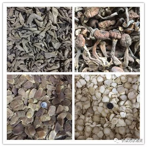 長(zhǎng)春萬家易貨 最新易貨