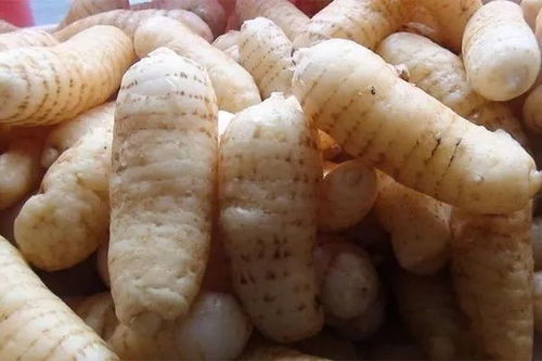 貴州德江向全世界發(fā)出邀請