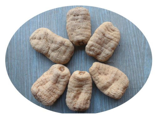 雷山縣烏桿天麻種植標準化示范區(qū)建設(shè)