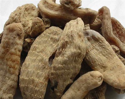 天麻藥用價(jià)值與貴州金茂生物科技的天麻優(yōu)勢