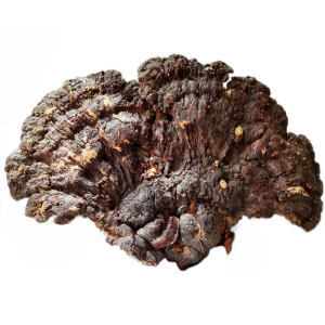 探秘天麻野生特級(jí) 功效、市場與選購指南